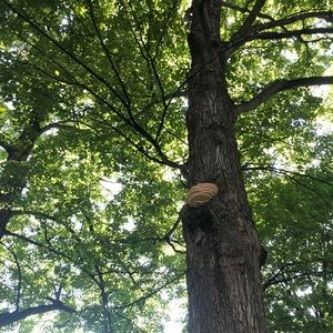 Meet your Posher, Kerry